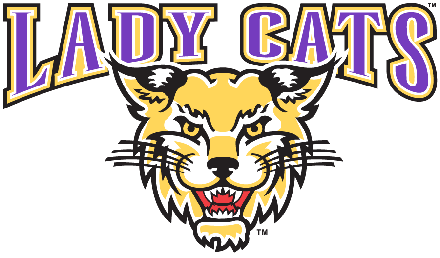 Western Carolina Catamounts 2003-2008 Secondary Logo DIY iron on transfer (heat transfer)